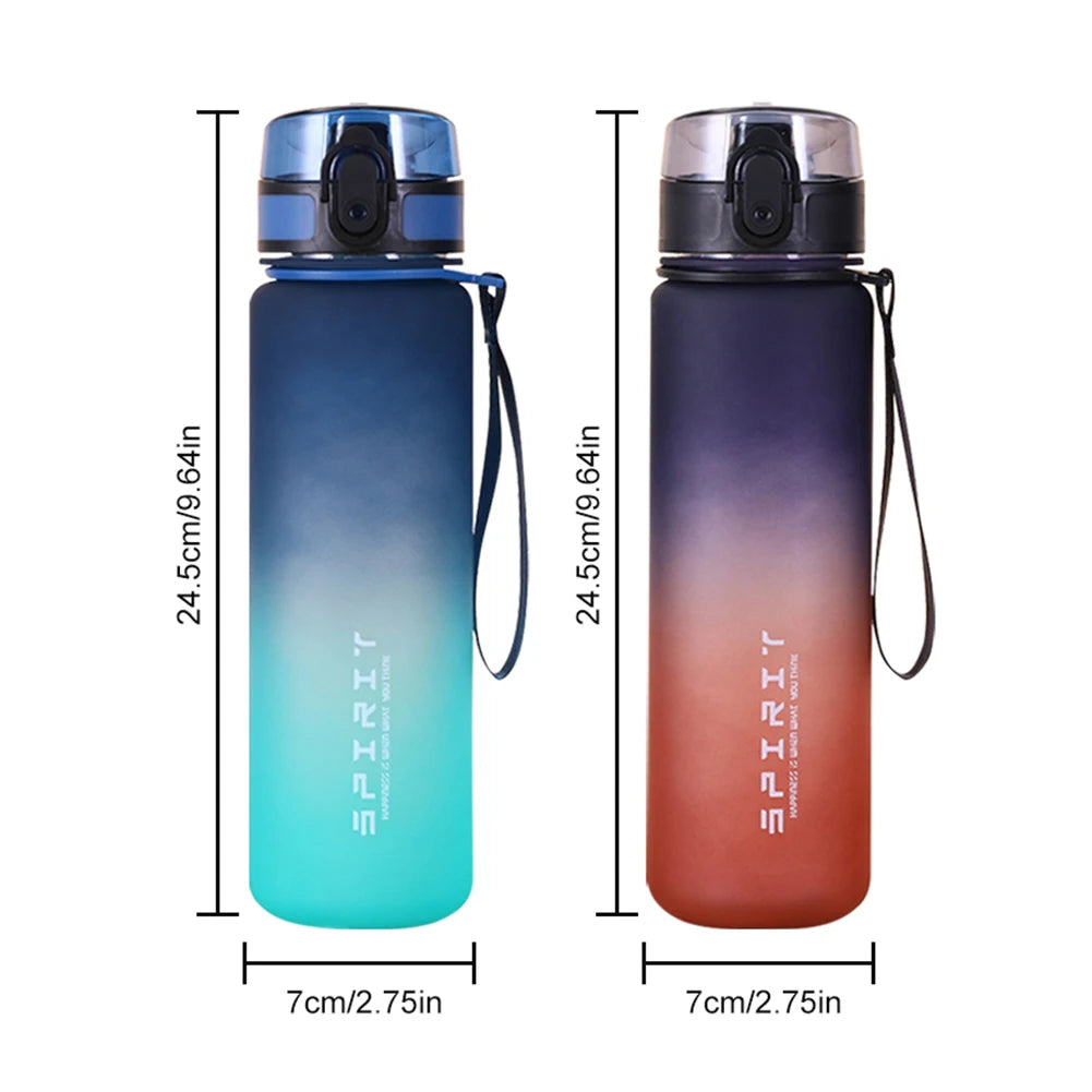 S578ab327783a4c75a8a5aea1ad4e6502H